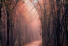 克罗地亚狂胜对手，提振信心备战欧预赛