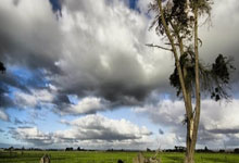 布拉格斯巴达主场战胜希伯尼亚，取得欧洲联赛首胜