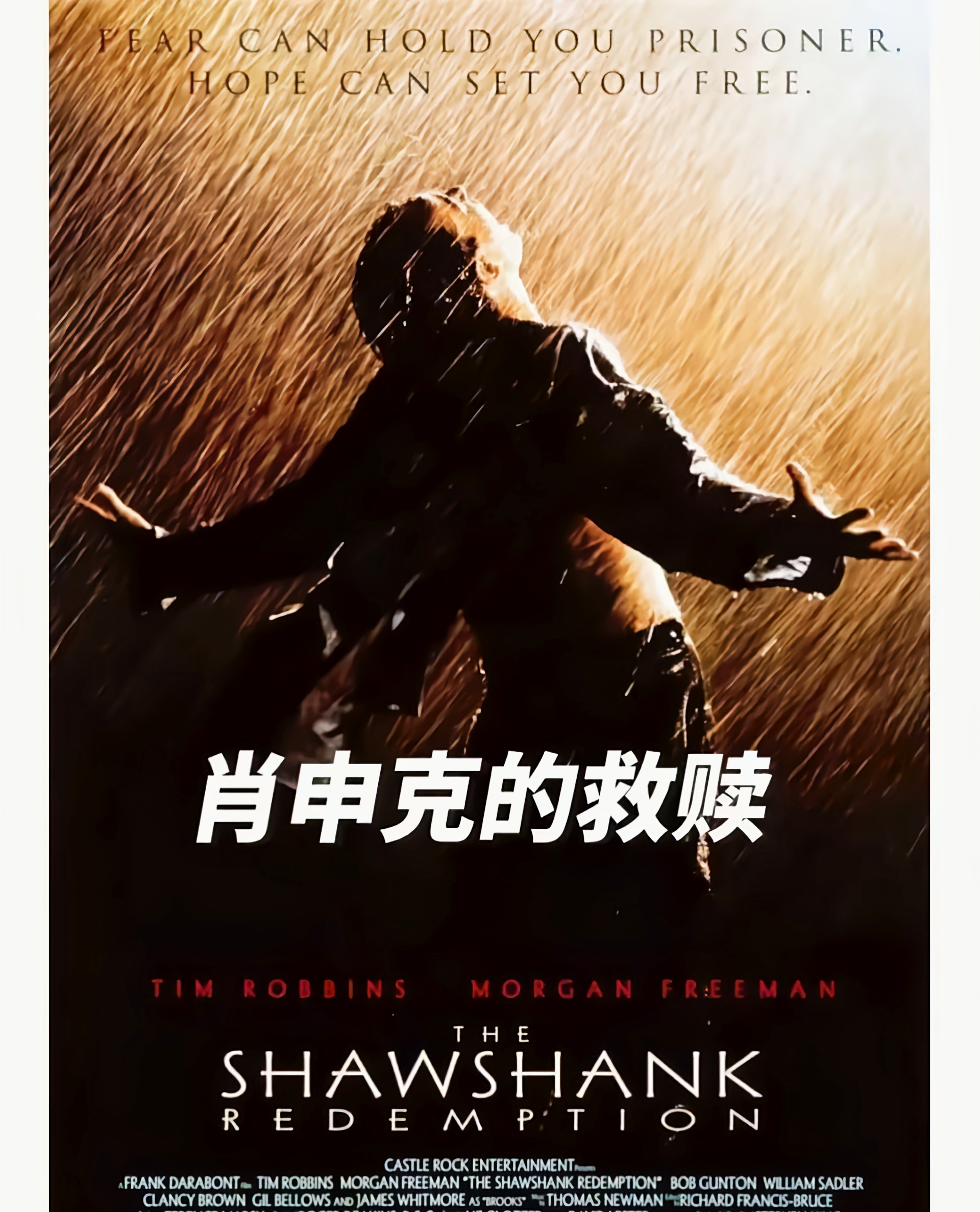 od体育-西悉尼流浪者迎战阿尔艾因，防守反击或成致胜关键